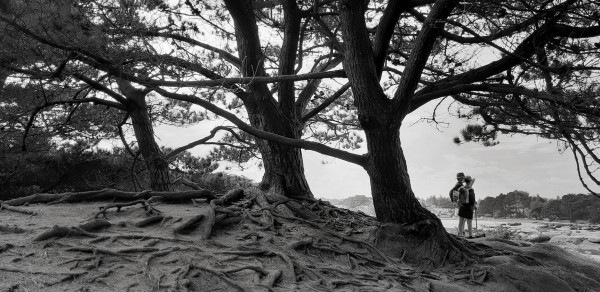 Sous les arbres  Yolande Ripsam  Photo Club Rust & Art