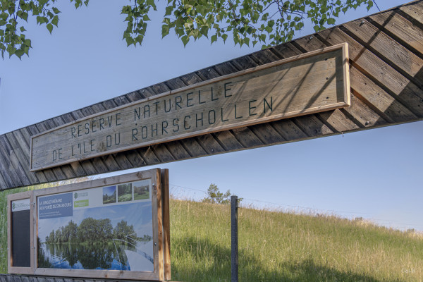 2026-06-19 - SORTIE RESERVES NATURELLES DE STRASBOURG