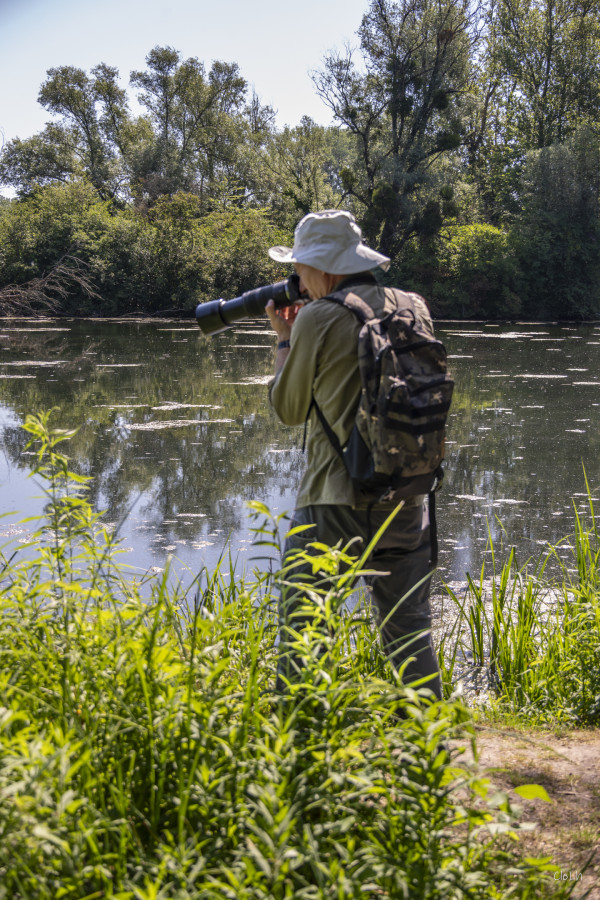 2026-06-19 - SORTIE RESERVES NATURELLES DE STRASBOURG