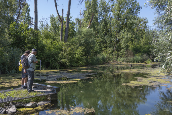 2026-06-19 - SORTIE RESERVES NATURELLES DE STRASBOURG