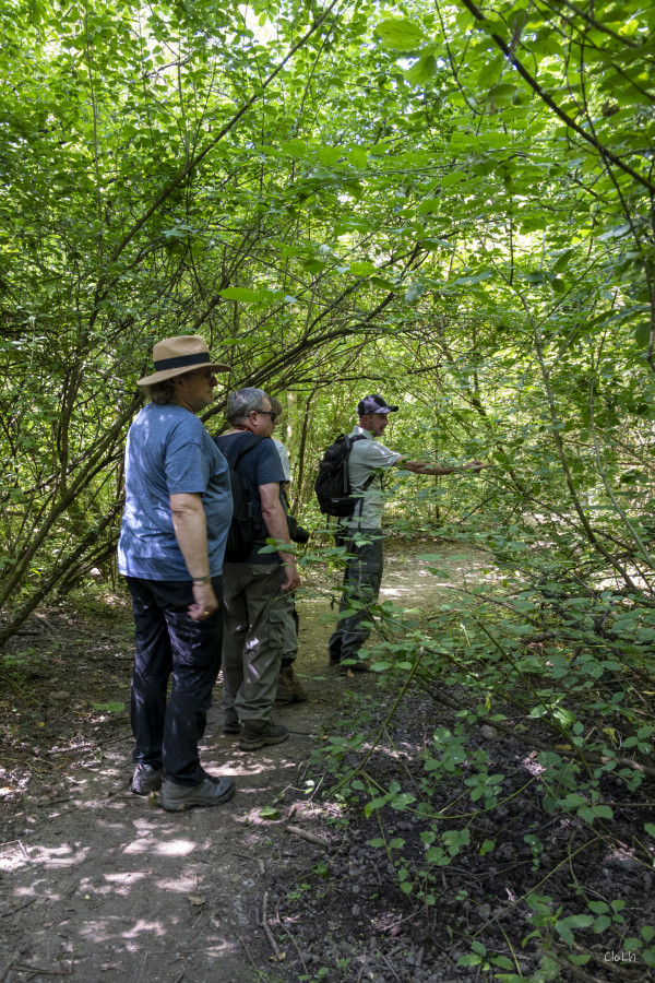 2026-06-19 - SORTIE RESERVES NATURELLES DE STRASBOURG