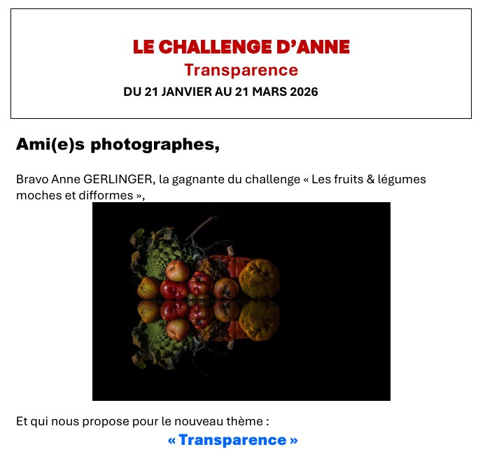 CHALLENGE D'ANNE GERLINGER