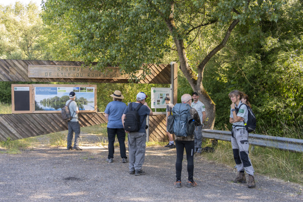 2026-06-19 - SORTIE RESERVES NATURELLES DE STRASBOURG